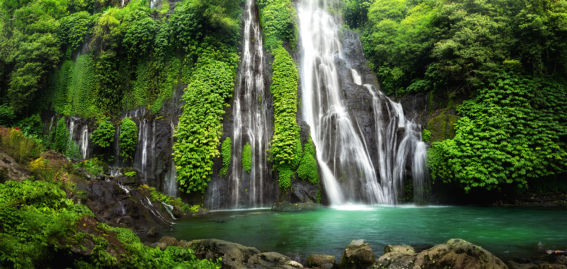 Rainforests